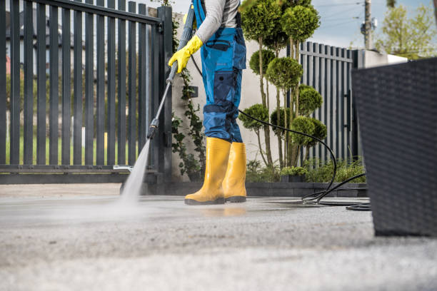 Best Patio and Deck Pressure Washing  in Ocklawaha, FL