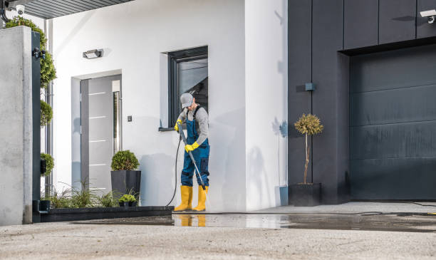 Best Building Exterior Washing  in Ocklawaha, FL